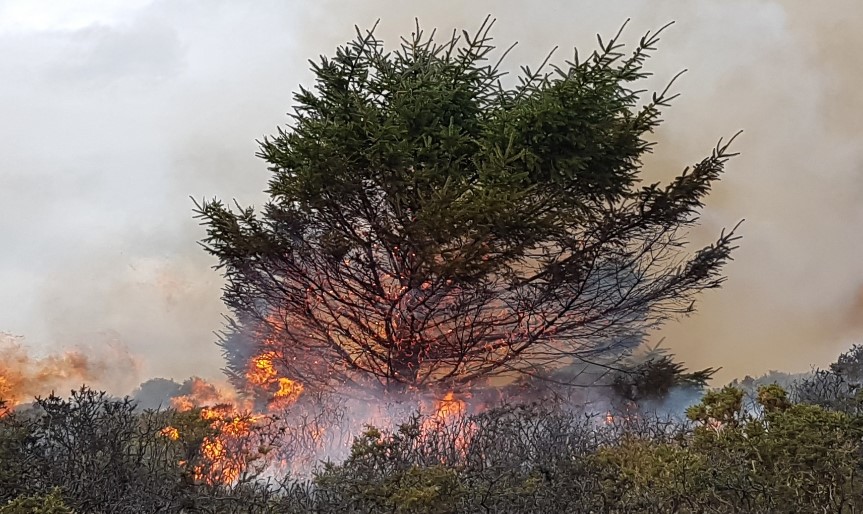 Just one spark can cause a wildfire in the #countryside so please:

🔥 Don't light fires or fireworks

🍔 Only have BBQs where signs allow

📞 If you see an unattended fire, get to a safe place and call 999

#CountrysideCode #BankHoliday #HotWeather