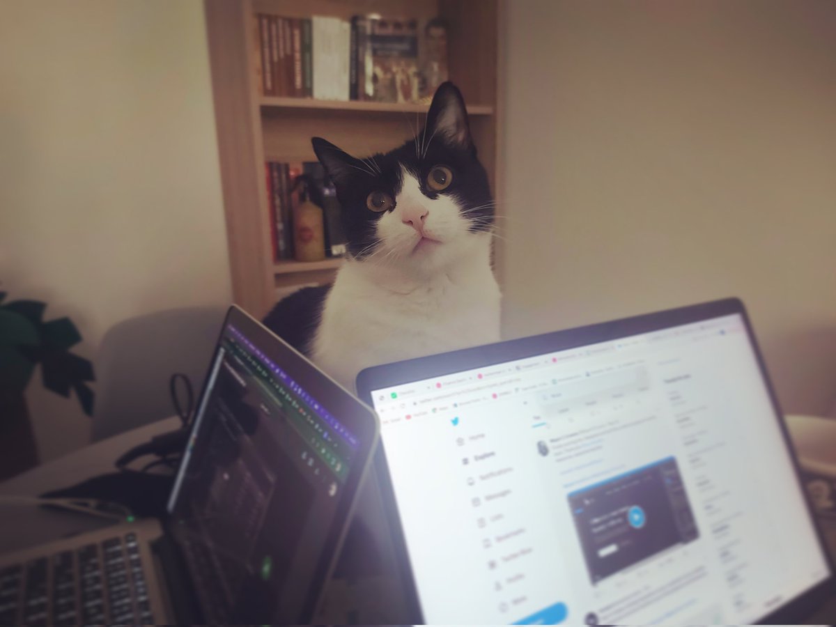 steph_enache1's tweet photo. Ending the workweek on a purr-fect note! Meet my adorable office assistant, who knows how to bring the Friday vibes. πΎπΈ Embracing the #Catitude and getting ready to conquer the weekend.π #WorkFriday #OfficeMood #FelineFriday #CatLife #OfficeCat #FurryCoWorker #WorkFromHome https://t.co/EQS91jf1f5