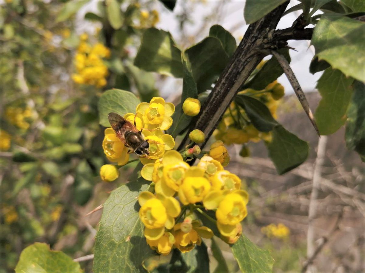 #Xalqaro_ekspeditsiya
Xalqaro ekspeditsiya
samdu.uz/uz/news/44043