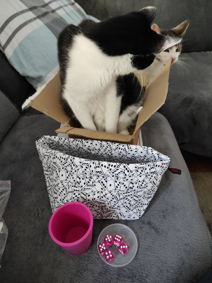 TanjaPresident's tweet photo. Ich hab ja das #Twiffel Turnier gewonnen und heute kam mein Preis an. 🤩 Vielen lieben Dank an @wuerfelfreund !!!
(Nein, die Katzen hatte ich schon vorher 😅 aber sie finden den Karton super.)
!B https://t.co/Z6y0rNd4O1