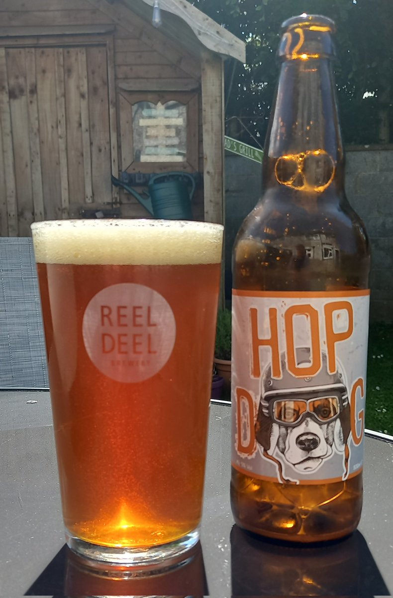 Cheers #craftbeer drinkers enjoy your Friday a #LimitedEdition brew from <a href="/reeldeelbrewery/">ReelDeelBrewery</a> #HopDog love this had b4 cause I bought loads 😂 5% #craftbeer from #Mayo #DrinkIrish #supportcraftbeer 🍻🤤
