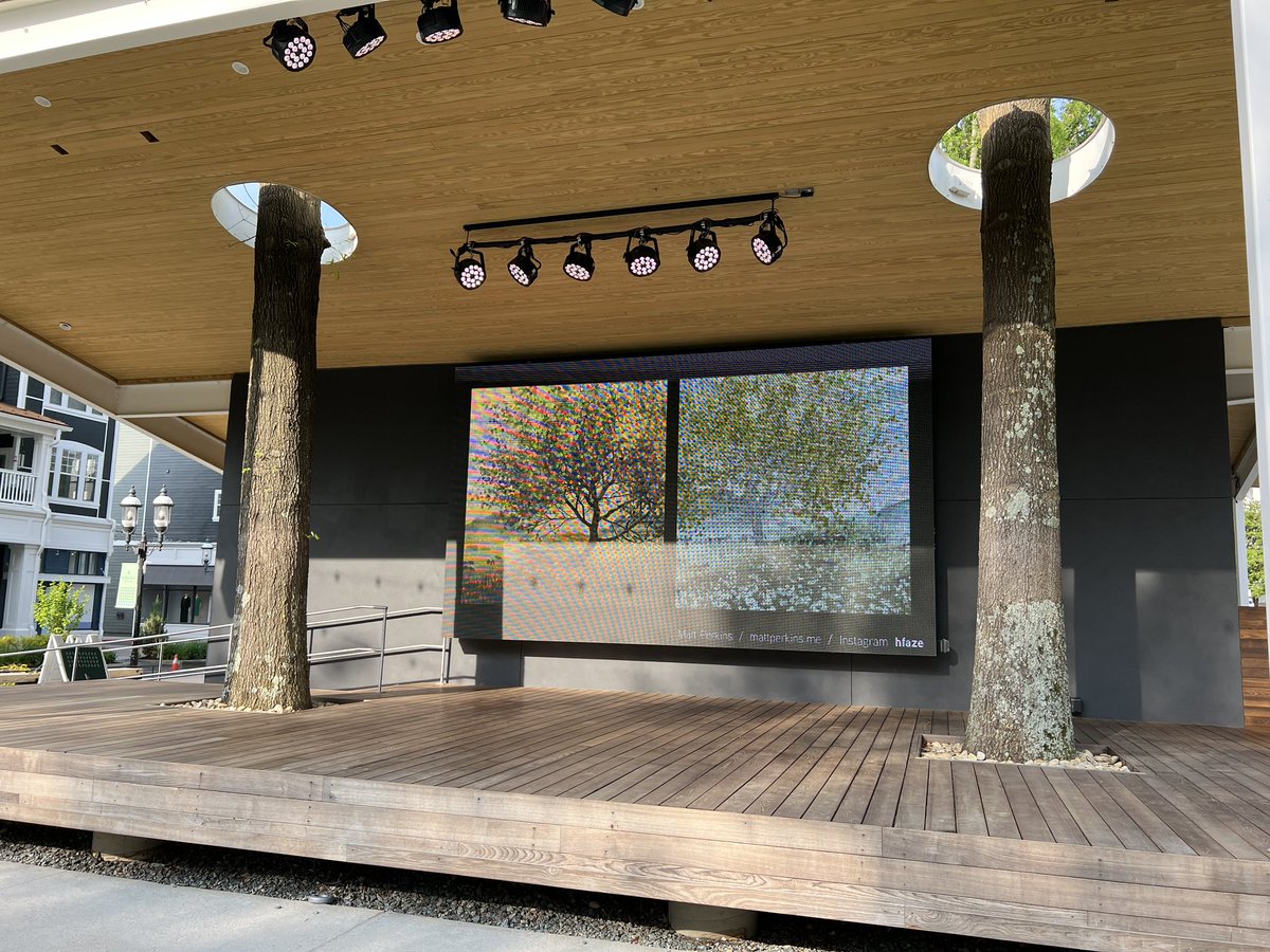 nudoru's tweet photo. I went to @birkdalevillage to get one more look at the Arboretum WIPs on display 🤩 #generativeart https://t.co/DCgu3Mfiep