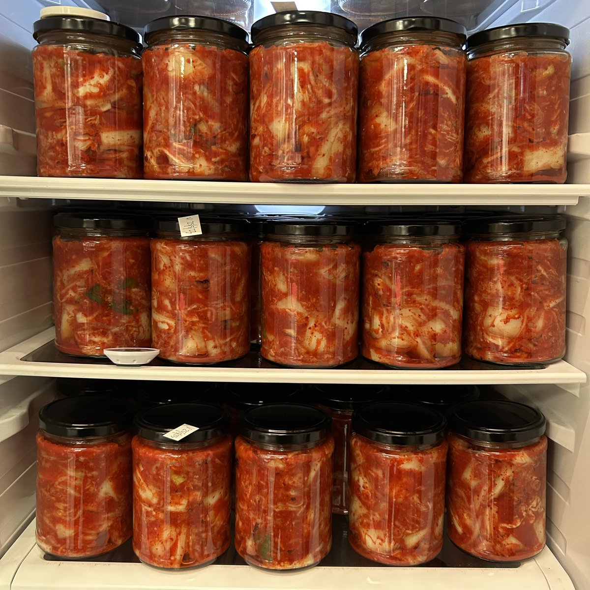 KimchiHuman tweet media