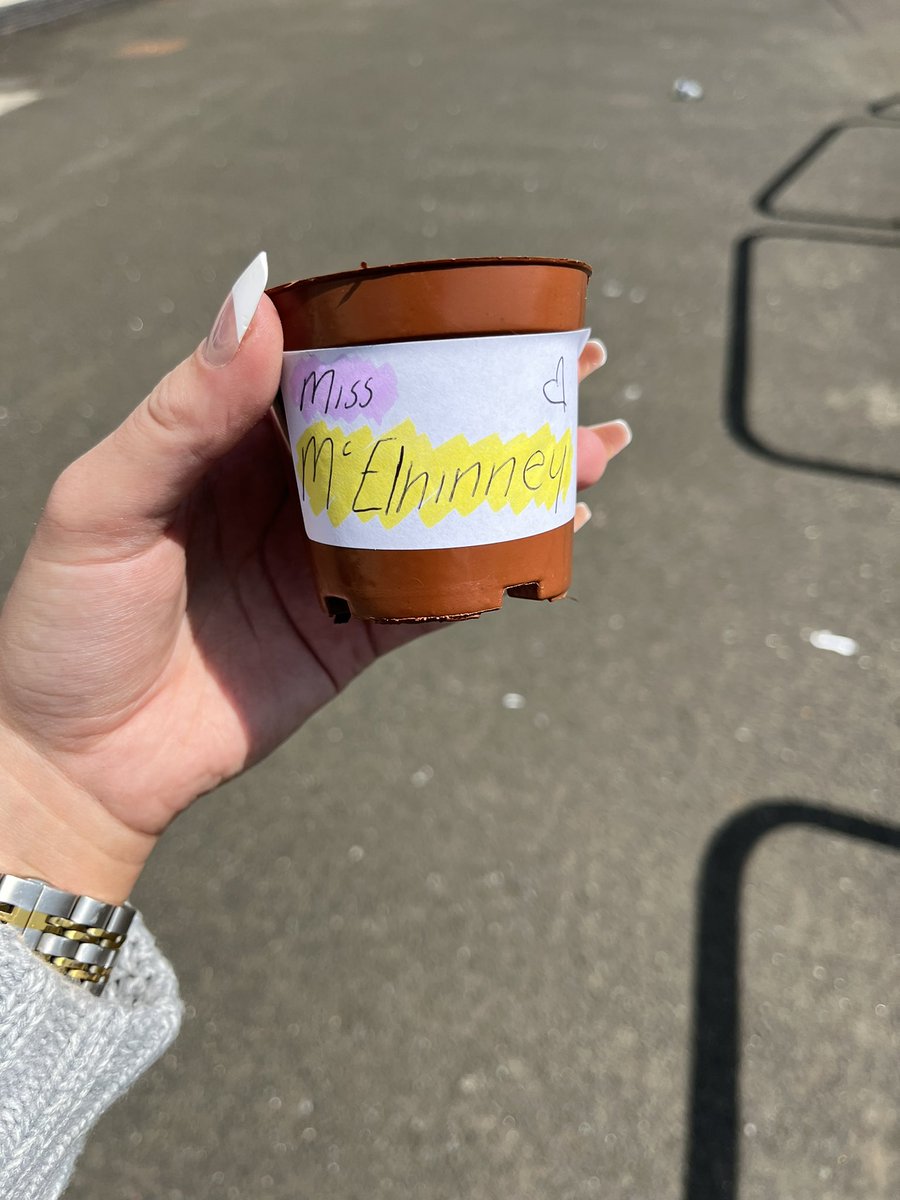 MissMcElhinney_'s tweet photo. A fantastic end to the Primary 7 enhanced transition, making use of our poly tunnel to plant our very own sunflowers to watch them grow over the summer before we return in the new term🌻 It has been a pleasure meeting our new S1 cohort! https://t.co/nJ0fq7drKf