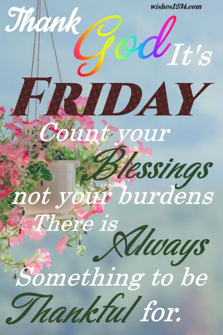 Friday Blessings/tlc❤️🙏❤️

#GoodMorningEveryone #FridayThoughts #BlessedFriday