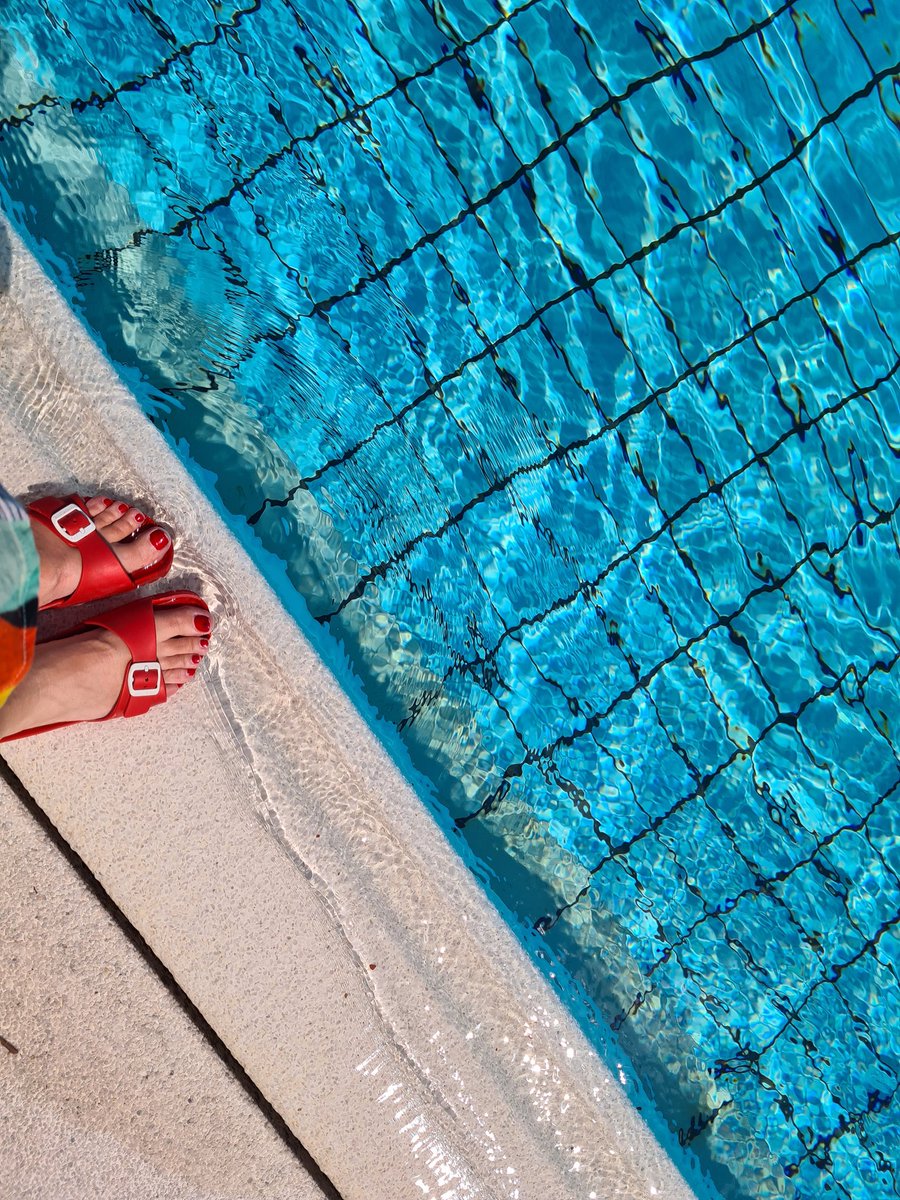 Julia Pühringer tweet media