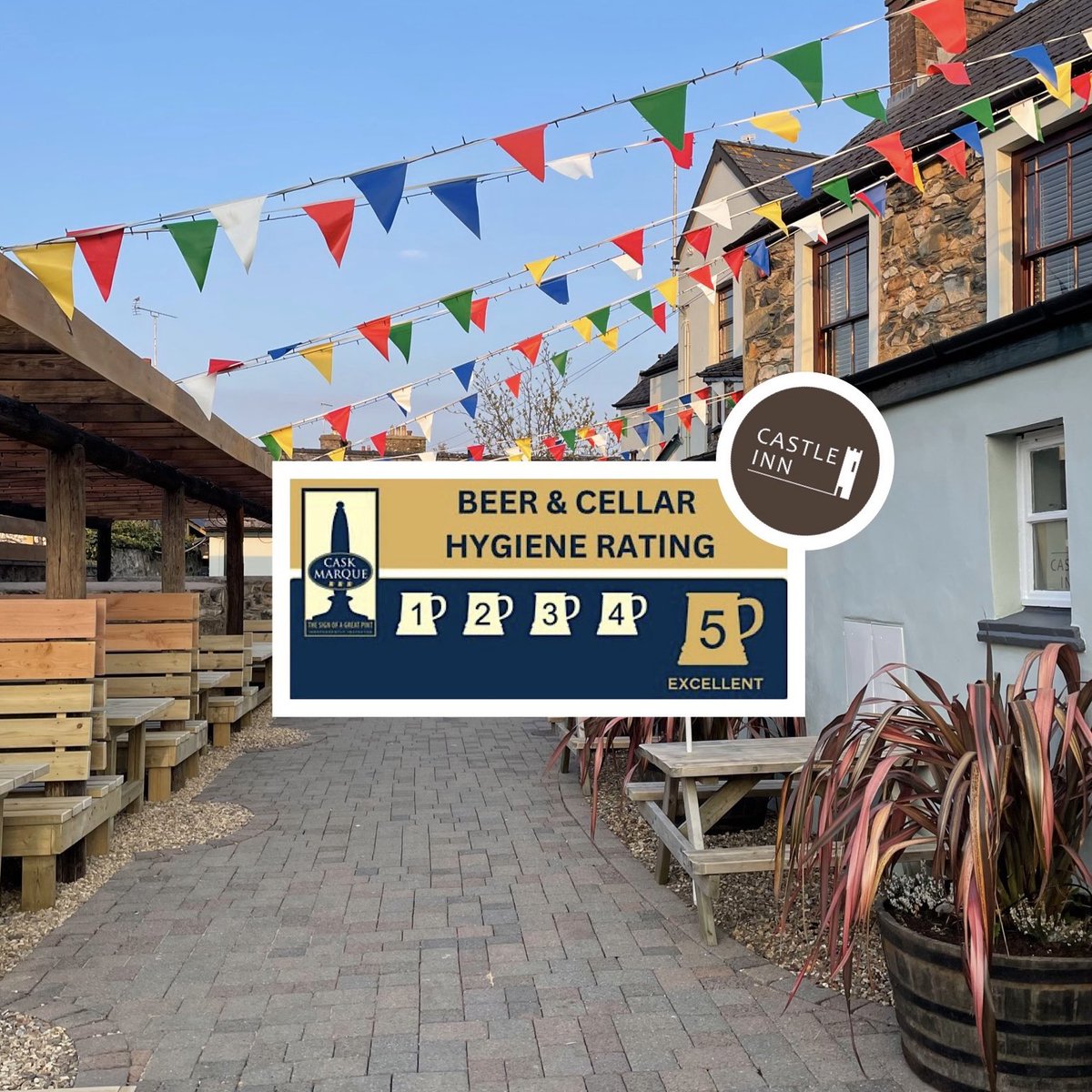 ⭐️⭐️⭐️⭐️⭐️