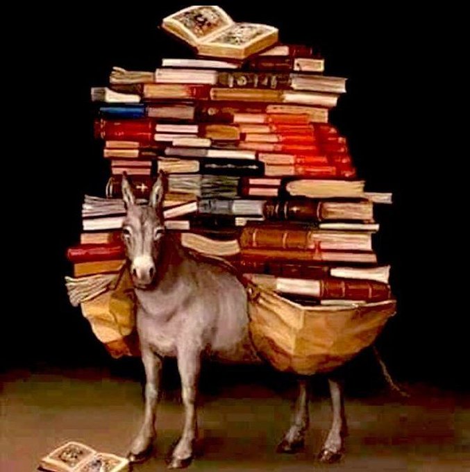 fabdegea's tweet photo. @dailyislamist benim oyumla dağdaki çobanın oyu birmi diyen bunlardı dimi https://t.co/hLPsZyCKAi