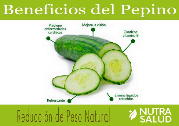 NutriGrand's tweet photo. Una alimentación adecuada mejora tu salud.
NutriGrand sabe cuál es la mejor alimentación, si quieres ser revisado por los mejores expertos visítanos! https://t.co/haUvHtbBsd