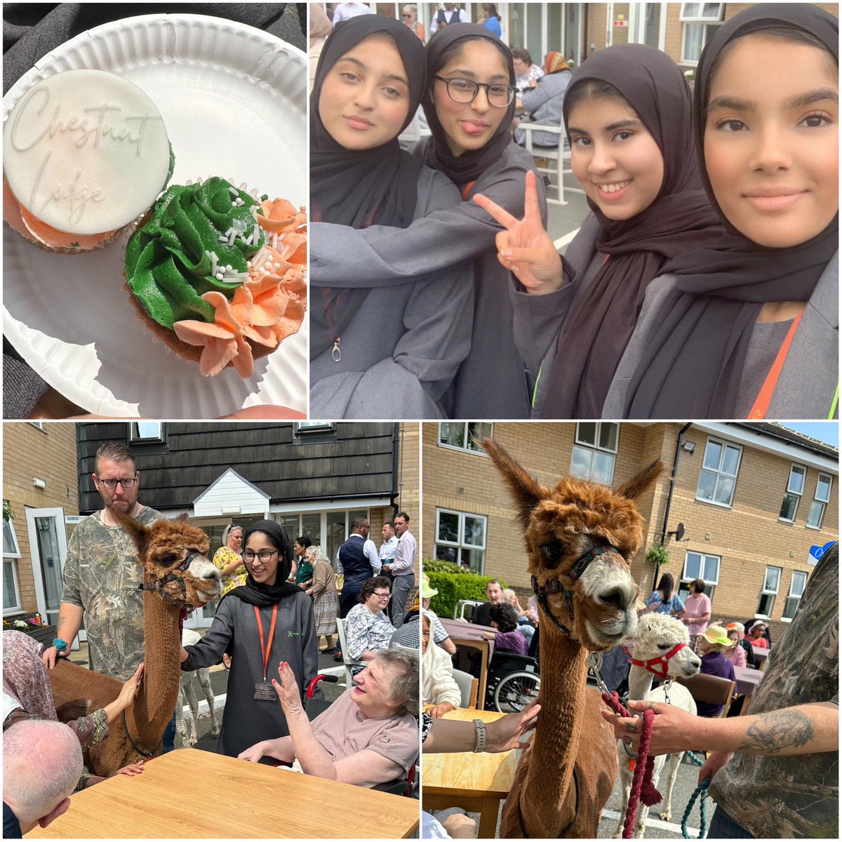 FevershamA's tweet photo. Thanks to Chestnut Lodge Care Home @Silverline_Care. Our students visited today and were able to see what life looks like as a carer and spent some time with the residents. They even got to meet Bubbles the Alpaca and Colin the Llama! #TeamFeversham #LocalLinks #HealthSocialCare https://t.co/SqdgQQiSus