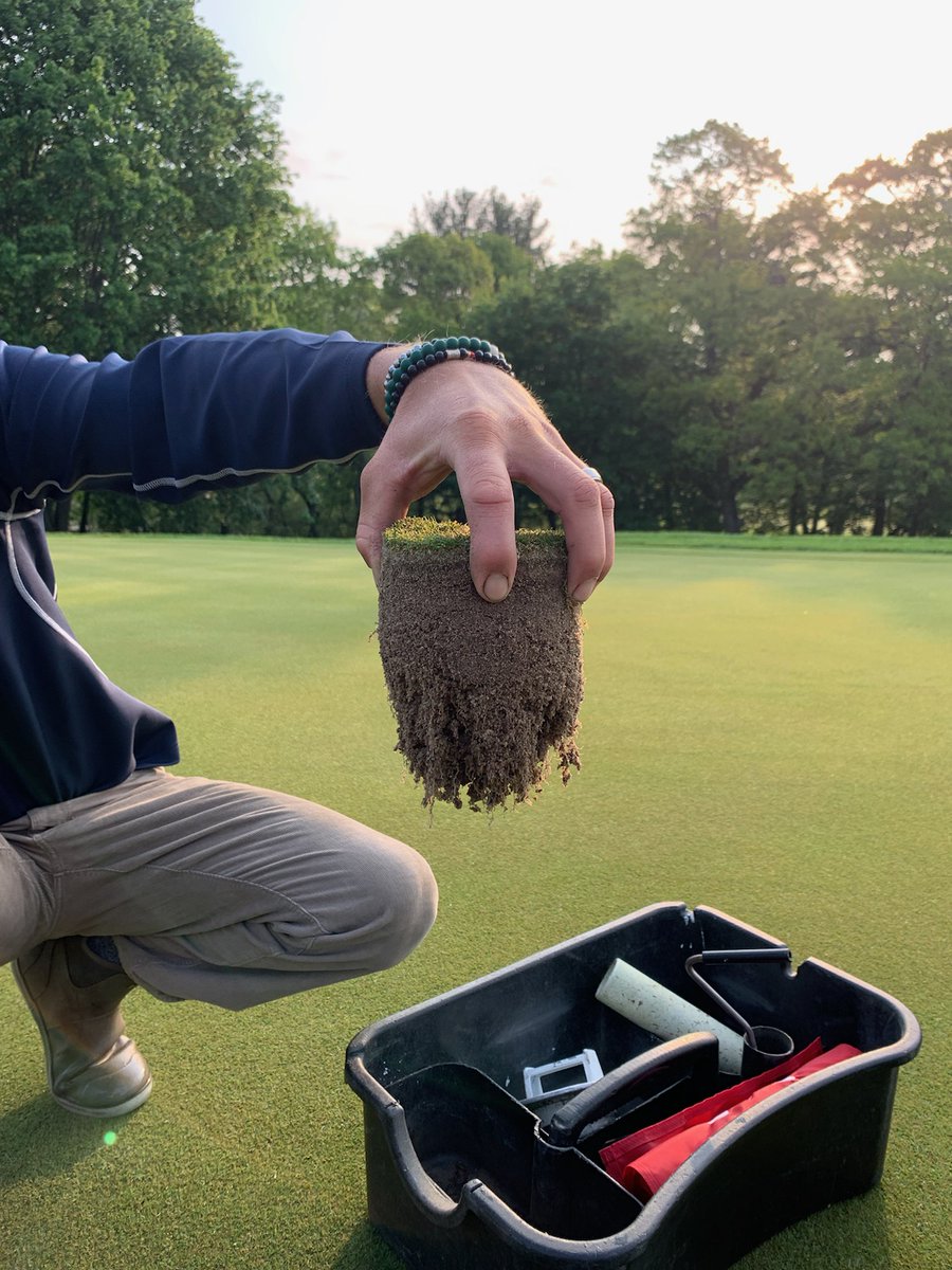 bentgrassdoctor's tweet photo. 007 at Belmont CC, MA. Its all about the roots. Happy roots, happy turf. https://t.co/4OKvM8TA0i