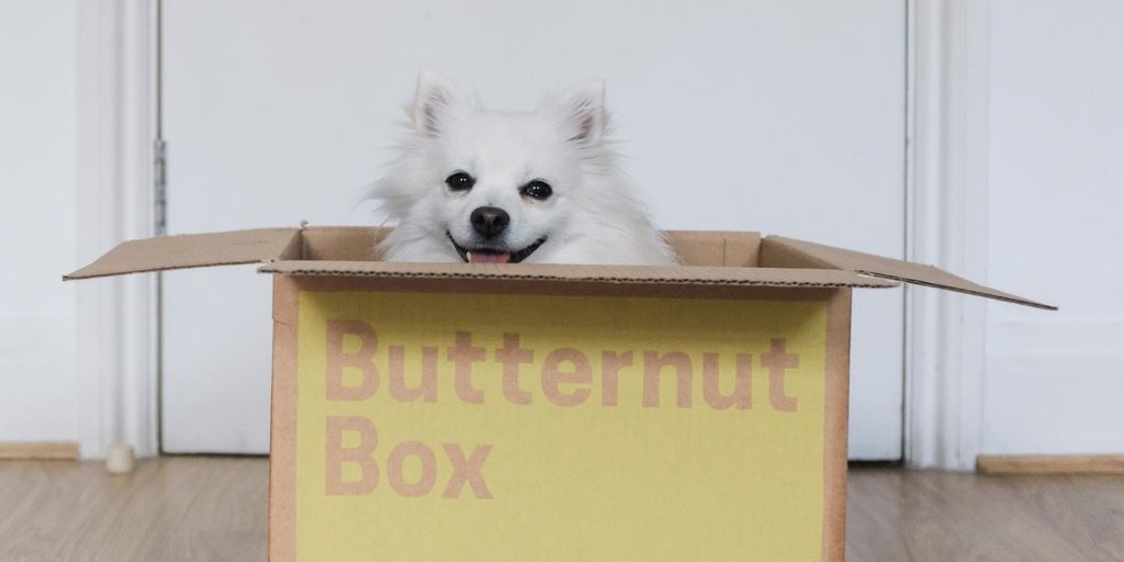 We've got food for dogs too. @ButternutBox Homecooked, portioned & delivered to your door. Come & see them 11am-6pm Saturday & Sunday @TonbridgeCastle TN9 1BG Free event for all the family. Dog friendly.