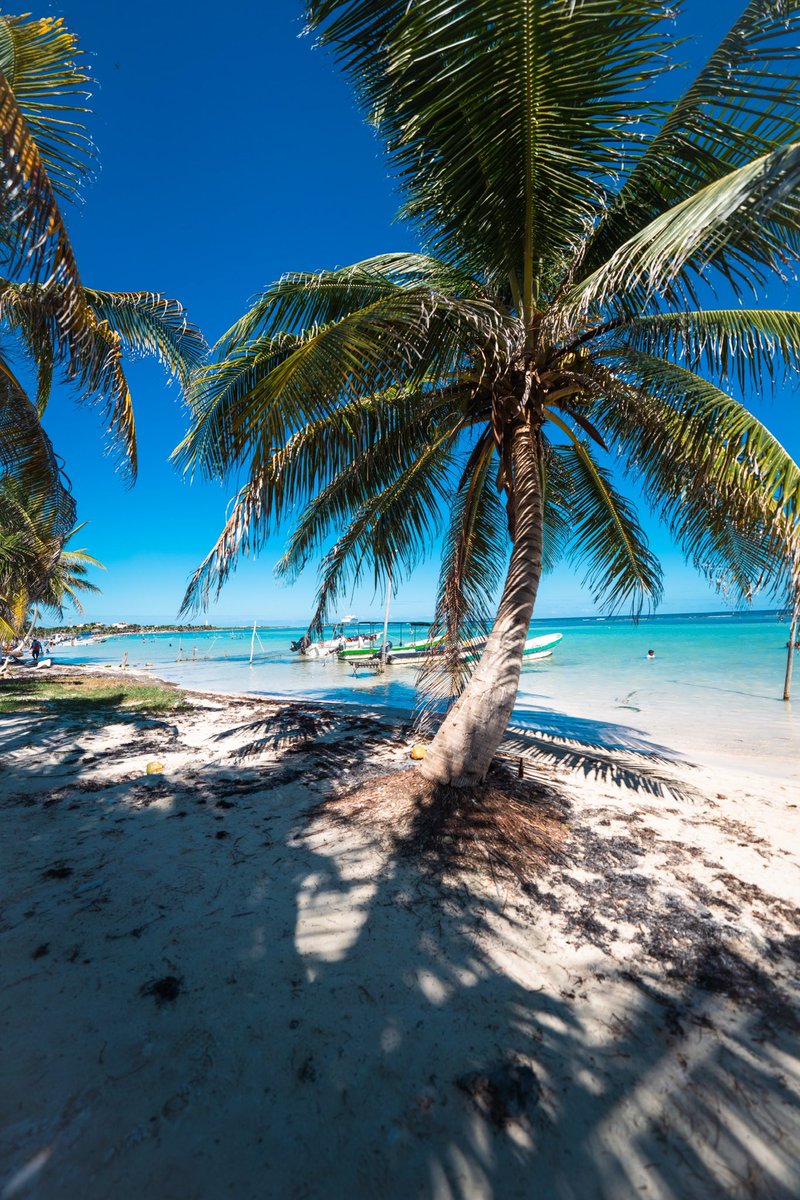 dlenzlo.eth tweet media