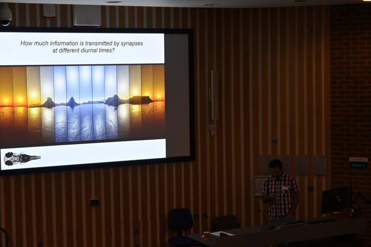 José Moya Díaz (@josmoyadaz1) on Twitter photo I'm really honoured to be awarded with the <a href="/SussexNeuro/">SussexNeuro</a> postdoctoral prize 2023. Thanks to Sussex Neuroscience department, my supervisor <a href="/neonsynapse/">Leon Lagnado</a> and my lab folks for their support over these years. I'm really honoured to be awarded with the <a href="/SussexNeuro/">SussexNeuro</a> postdoctoral prize 2023. Thanks to Sussex Neuroscience department, my supervisor <a href="/neonsynapse/">Leon Lagnado</a> and my lab folks for their support over these years.