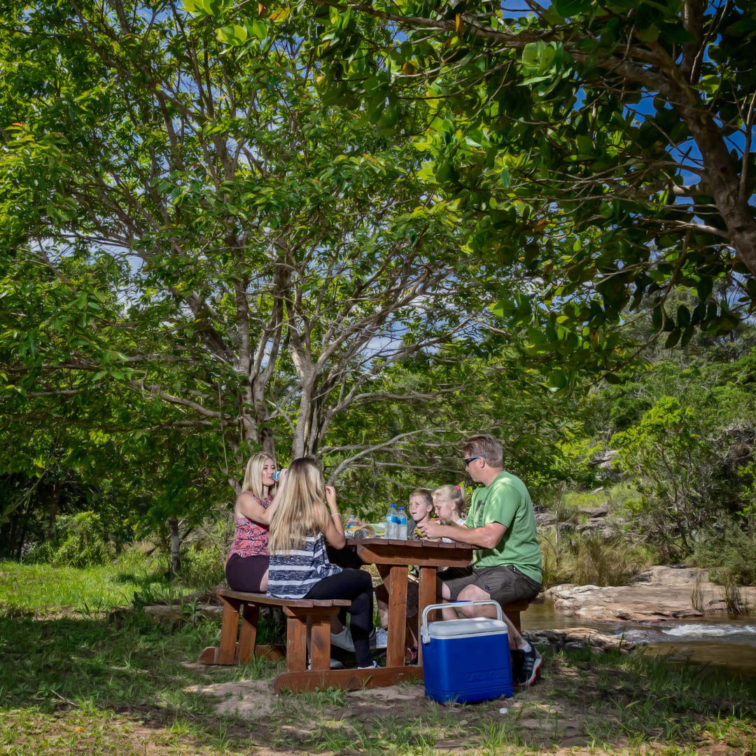 wild5adventures's tweet photo. Bring the whole family and enjoy an awesome picnic or braai at our onsite facilities while taking in never before seen views of Lehr’s Waterfall and Baboon’s Castle. 

#picnic #braai #family #nature #outdoors #baboonscastle #lehrswaterfall #wild5 #wild5adventures #familytime https://t.co/yI65XIqFh4
