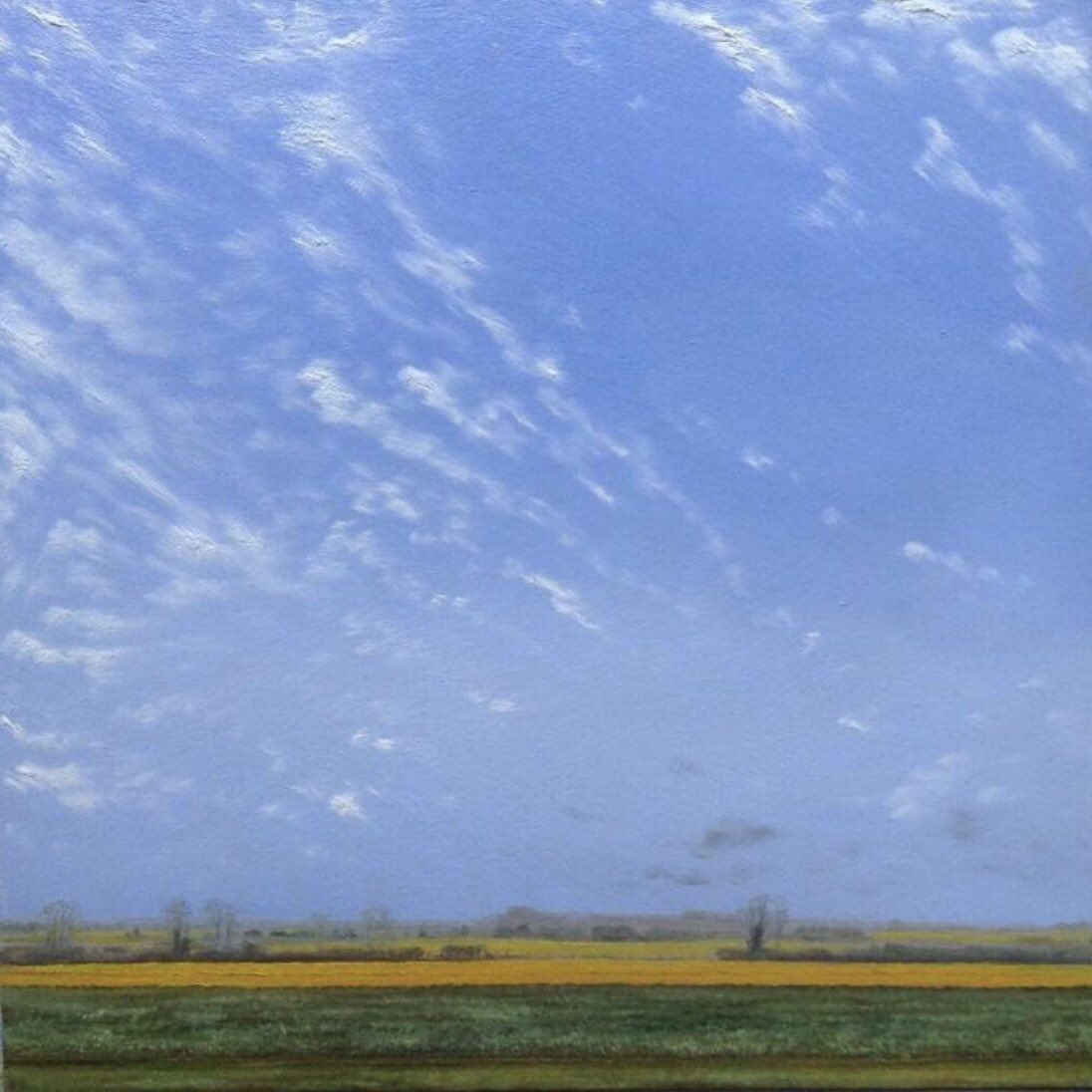 Field of #oilseed #flowering near #Ely in #Cambridgeshire #landscape #painting in oil on panel A3 square