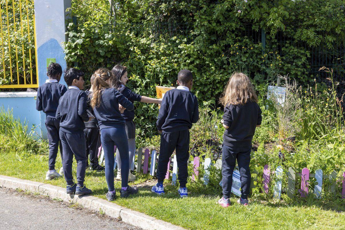 fingalarts's tweet image. It's a beautiful day for the children of St. Philip's SNS to be outdoors exploring nature as inspiration for their clay modelling workshops with artist Edel Clarkson, part of #FromTheEarth #cruinniunanog @Fingalcoco @creativeirl @fingalarts  @fingallibraries @AnnMarieFingal