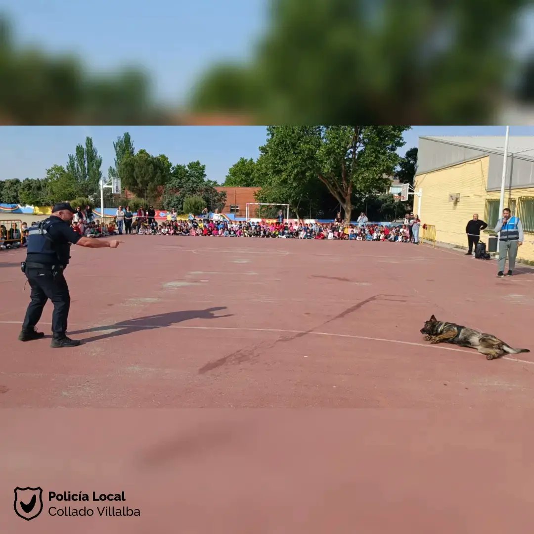 PoliciaVillalba's tweet photo. Y también, como se trabaja con drones en seguridad, seguro que quieren ser pilotos 🥳
🎒 Estos días de cole si que molan 👏
Participa la Unidad Canina de Collado Villalba, de Coslada, de Alcobendas y la Unidad de Drones de Collado Villalba
👮♂️👌👍
#ColladoVillalba #Umant https://t.co/XskaphGfBk