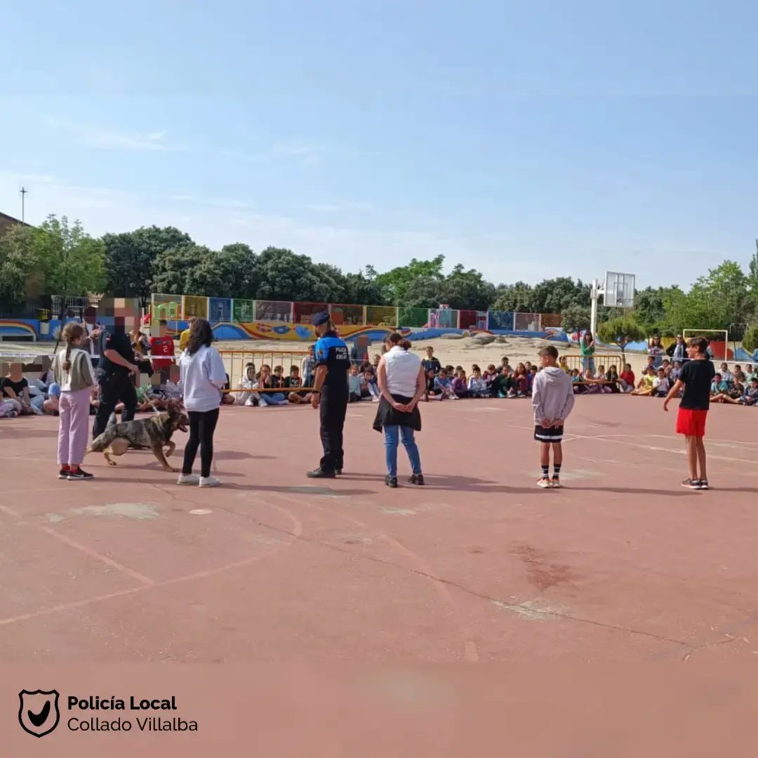 PoliciaVillalba's tweet photo. Y también, como se trabaja con drones en seguridad, seguro que quieren ser pilotos 🥳
🎒 Estos días de cole si que molan 👏
Participa la Unidad Canina de Collado Villalba, de Coslada, de Alcobendas y la Unidad de Drones de Collado Villalba
👮♂️👌👍
#ColladoVillalba #Umant https://t.co/XskaphGfBk