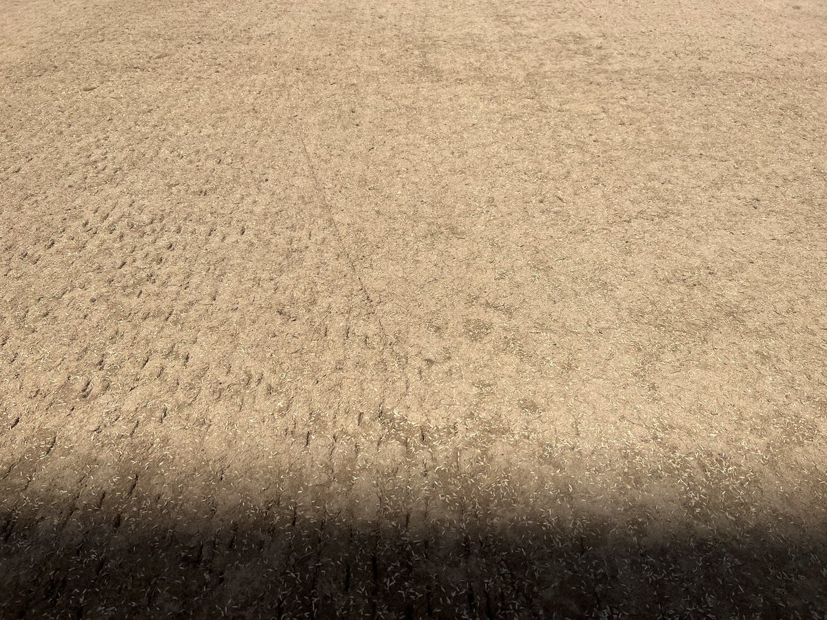 NickSwanson83's tweet photo. Finished, now let it grow 🏟️ https://t.co/BEBamGJxBm