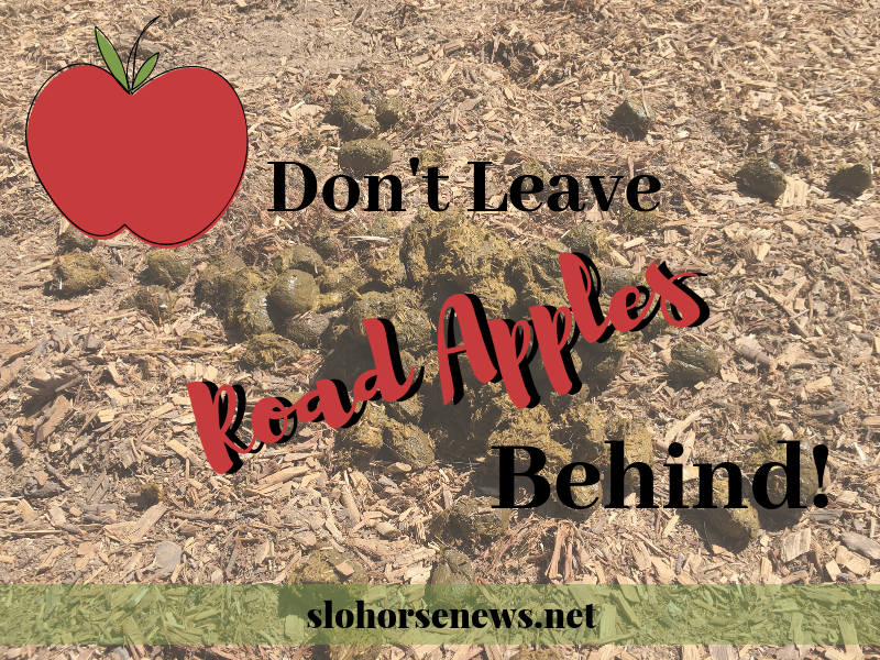 slohn's tweet image. 🐴 Weekly Scoop - - mailchi.mp/49e08ef73c21/w… Update on CA AB 233 the horse poop law

#horsepoop #roadapples #don'tleavehorsemanurebehind