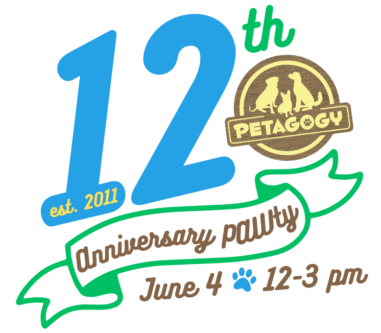 Petagogy's tweet photo. Come PAWty with us on Sunday, June 4! 🎉 - https://t.co/HVjil5sIYj https://t.co/gmCHpKtR4b
