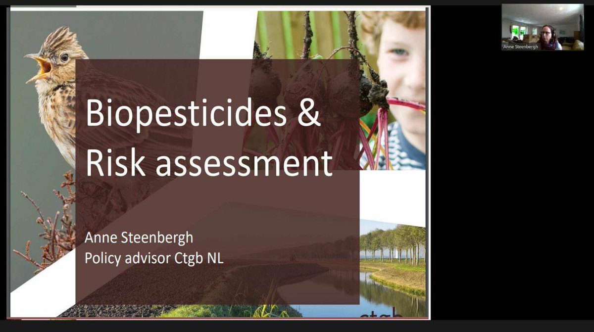 A discussion on biopesticides and risk assessment took place today in the framework of the ARISTO webinars. Thanks to Dr. Anne Steenbergh from Ctgb NL for this very informative talk. #ARISTO #ITN #MSCA #biopesticides