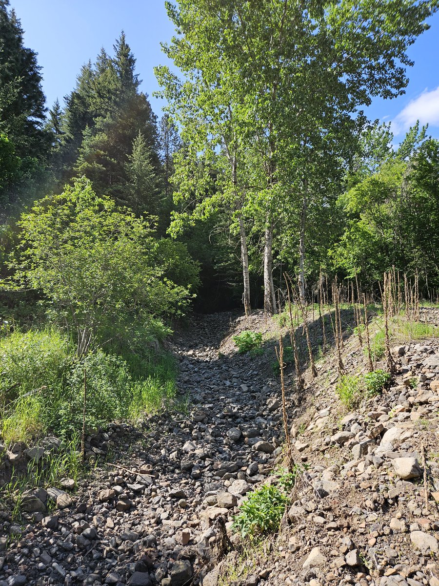 atThornhollow's tweet photo. Only a couple of ways these get so clean.
.
#flood2020 #landscapephotography #treephotography #pnw #pnwphotography #pacificnorthwest #easternoregon #oregon #perspective #gratitude #getoutside #adventureoutside https://t.co/yk92vOvh4G