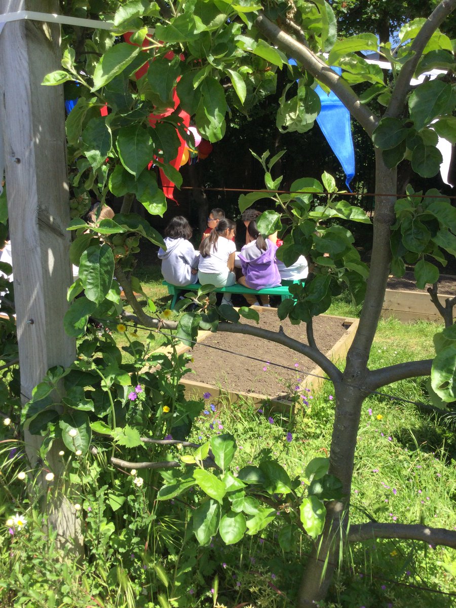 St Mary and St Michael Primary School tweet media