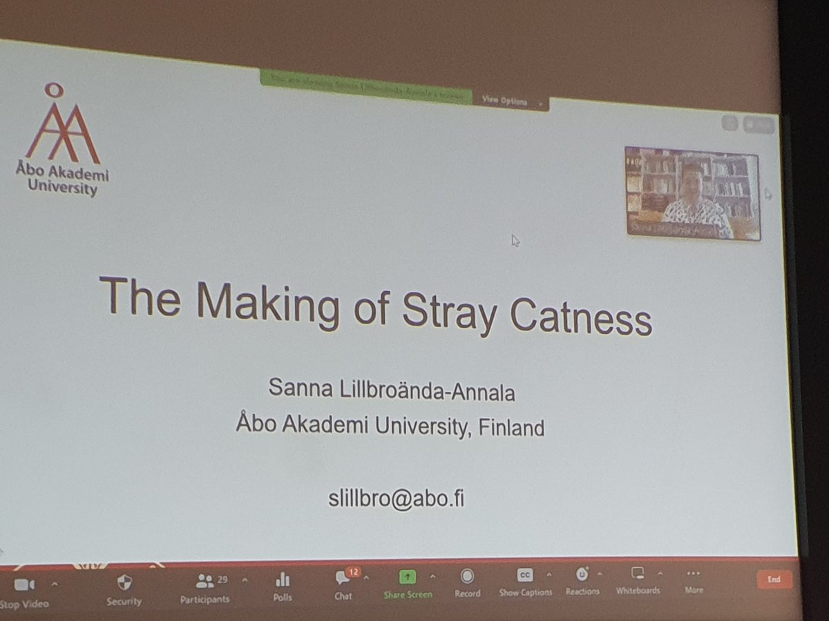 Sanna Lillbroända-Annala talks about stray cats in Greece. She works for this charity as well as being an academic. #catconference
