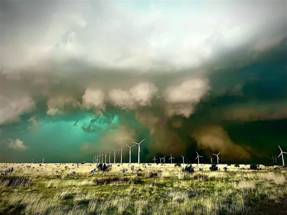 If you're jealous that you didn't see this green monster from tour 2 yesterday, our 2024 tours are open for bookings. Fancy joining us in Tornado Alley next Spring? #StormChasing