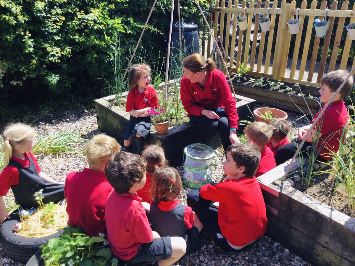 🦋Today Acorn class released their butterflies. They were very reluctant to fly away and enjoyed spending some time with the children before they left! 🦋 #kerseyschool #butterflies #lifecycle #caterpillars #insectlore #science @TheTilian