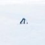 sweetywonwoo_'s tweet photo. bringing this back to when jeonghan brought up that one photo from one fine day japan when they went snow skiing 

👼🏻: that photo was funny. in the back of my selfie, wonwoo was behind [doing] like this

this will always be funny 😆
https://t.co/mTazFi5xQf