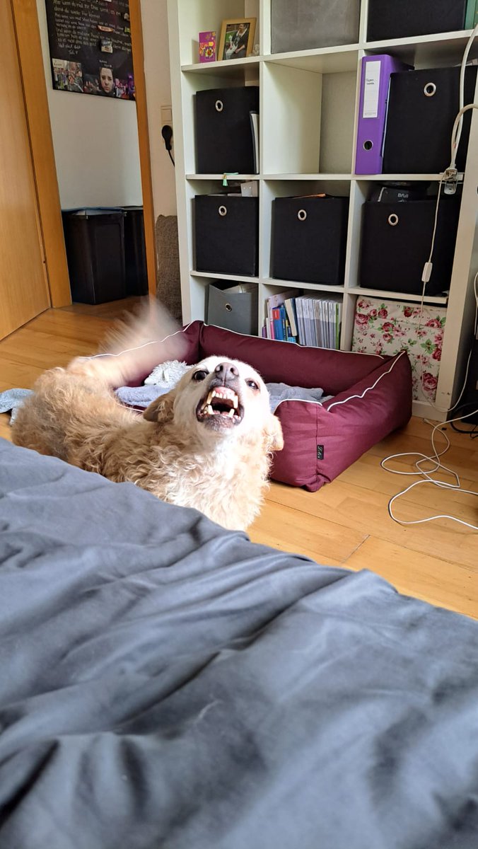 Grüße von der kleinen Grinsebacke😇