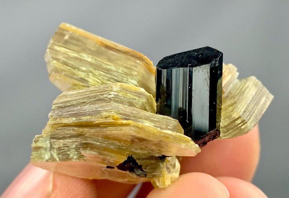 luster terminated Black Tourmaline crystals combine with mica from Skardu Pakistan.

Photo: Muhammadzubair.z
Mansoor zeb

#minerals