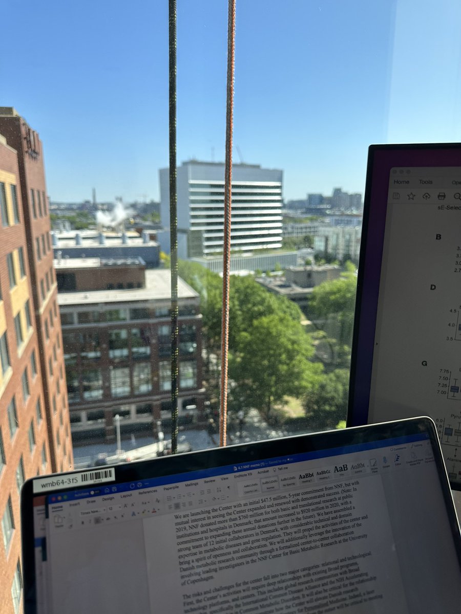 NeuroSciJilly's tweet image. Window washing daredevils just set up an epic top rope scaling to the roof of the Broad. I wonder if they’d let me take a lap up this “buildering” route? 5.12+ for sure. 🧗♀️