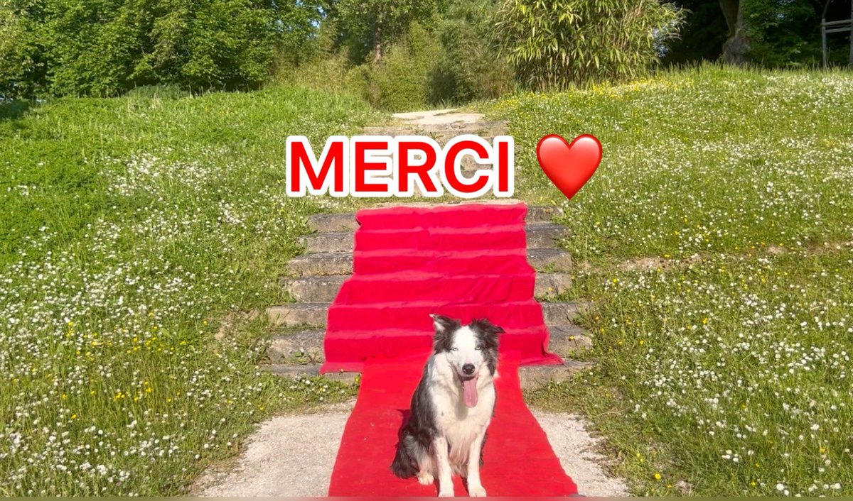 Anna Smith tweet media