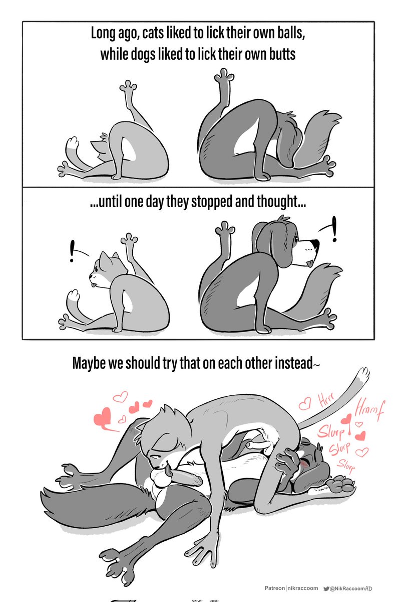 Long and complicated relationship between 🐱 and 🐶