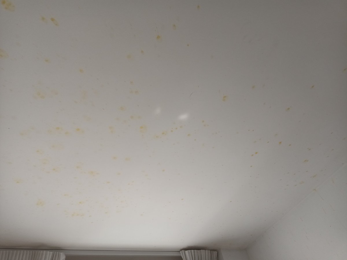 maruxaalso's tweet photo. hoy, en cosas que nunca pensé que me pasarían, entro en mi habitación y me encuentro que mi botella de zumo ha explotado y me ha manchado todas las paredes y el techo de zumo

qué creéis que ha podido pasar? solo respuestas incorrectas 

@mercadona https://t.co/Ikt2gqRhFX
