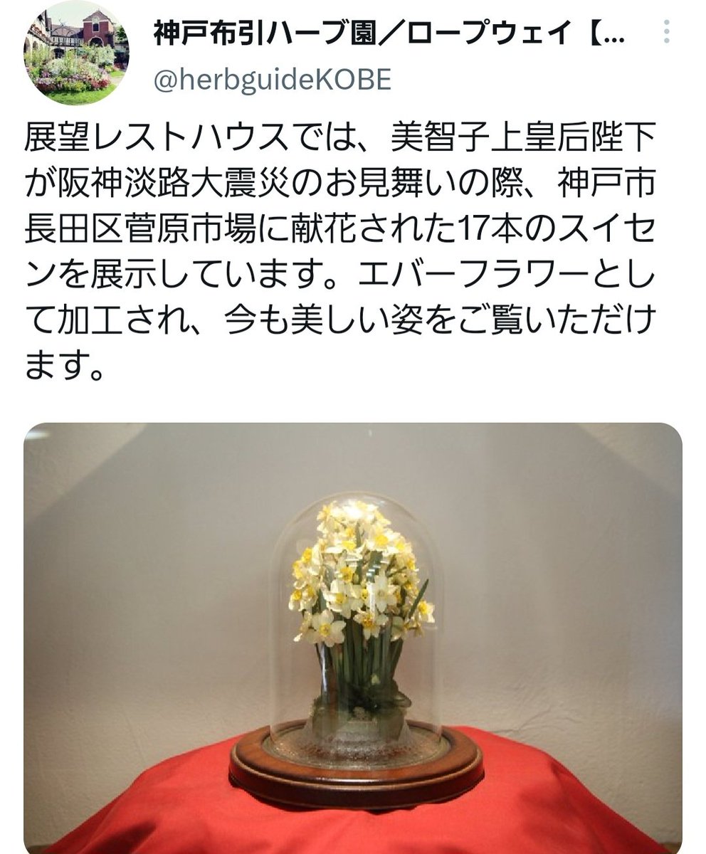 阪神大震災
ミテコは皇居の庭の水仙と３万円だけ持ってきて『花を枯らすな』と
まだ生き埋めになってる方を目の前に、道を封鎖。支援物資が滞り、皆、怒りが満ちてましたが黙ってました
花を手向ける様子を『左手からキレイに撮って』とマスコミに依頼
残ってますよ、花😡
関西人として絶対許さない