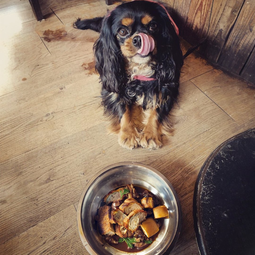 Every time you buy one of our delicious Sunday roasts, we hook your pooch up with a doggy dinner of their own But please, don’t blame us when they start dragging you here every Sunday. Always Roast Responsibly 🐶🤝👨 #CommonhallSocial #SundayRoastsChester