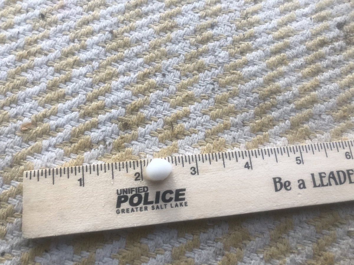 1/2 inch hail in north Sandy! <a href="/NWSSaltLakeCity/">NWS Salt Lake City</a> #utwx