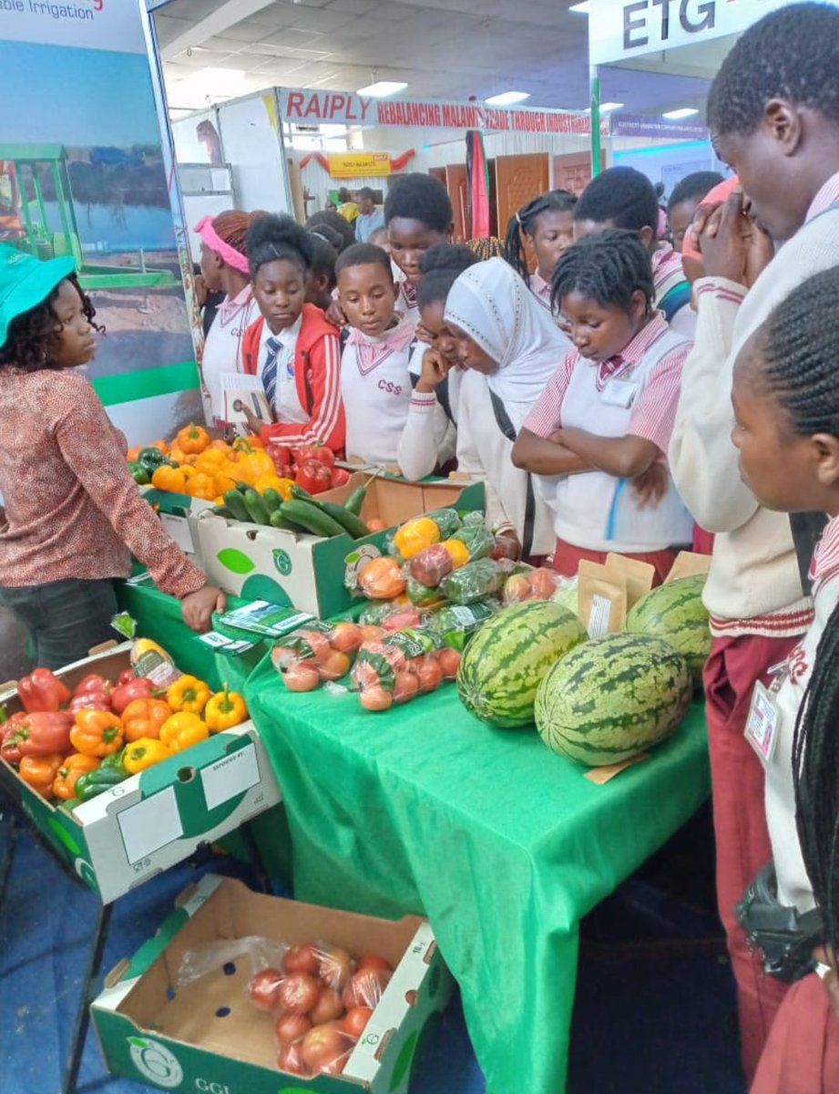 Aside initiating discussions towards business and cooperative partnerships, our participation in this year's Trade Fair accorded us with an opportunity to teach the masses about irrigation and agriculture. #sustainableirrigation #malawiinternationaltradefair