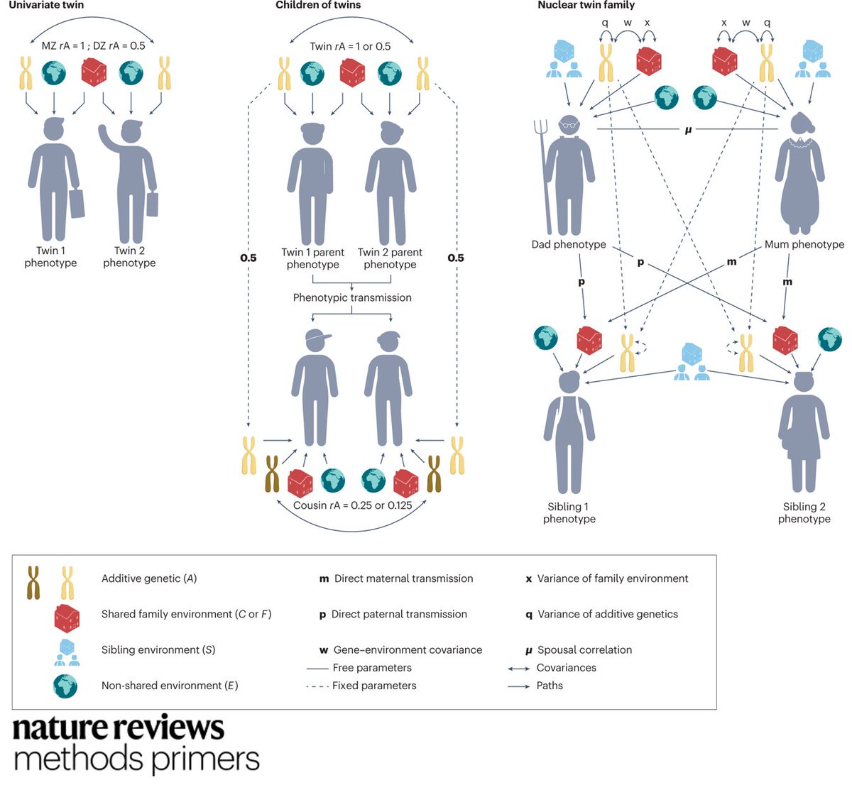 MethodsPrimers's tweet photo. In this Primer, Willoughby et al. discuss the methods used in behavioral genetics analysis, in particular twin studies, genome-wide association studies and statistical modelling @VUamsterdam @tincatwin
https://t.co/LP4yBVzyOD https://t.co/SPToX93bO5
