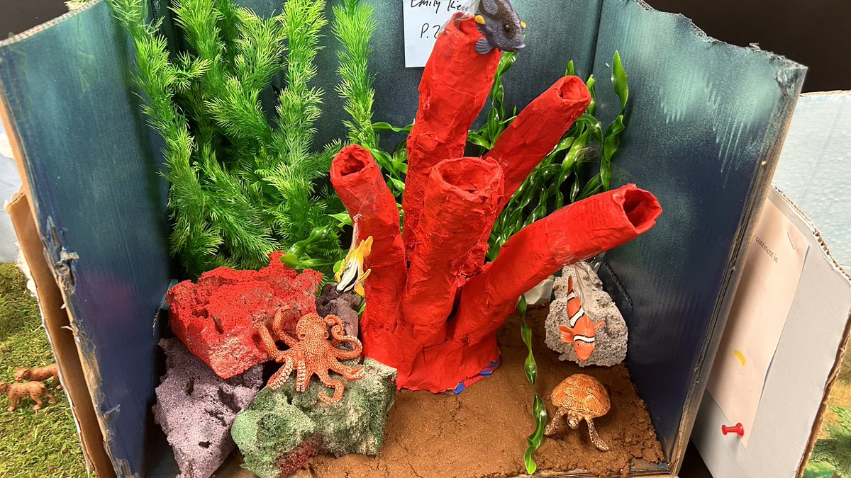 Ms. Sotomayor tweet media