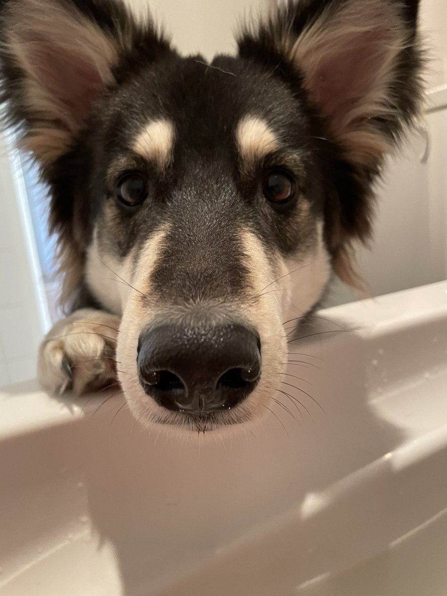 Can I take a bath with you?