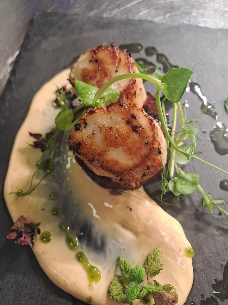 Tonight's Specials - Pan-fried Scallops
#specials #specialsboard #freshfood #seafood #scallops #sawreyhousehotel #cumbrianfood