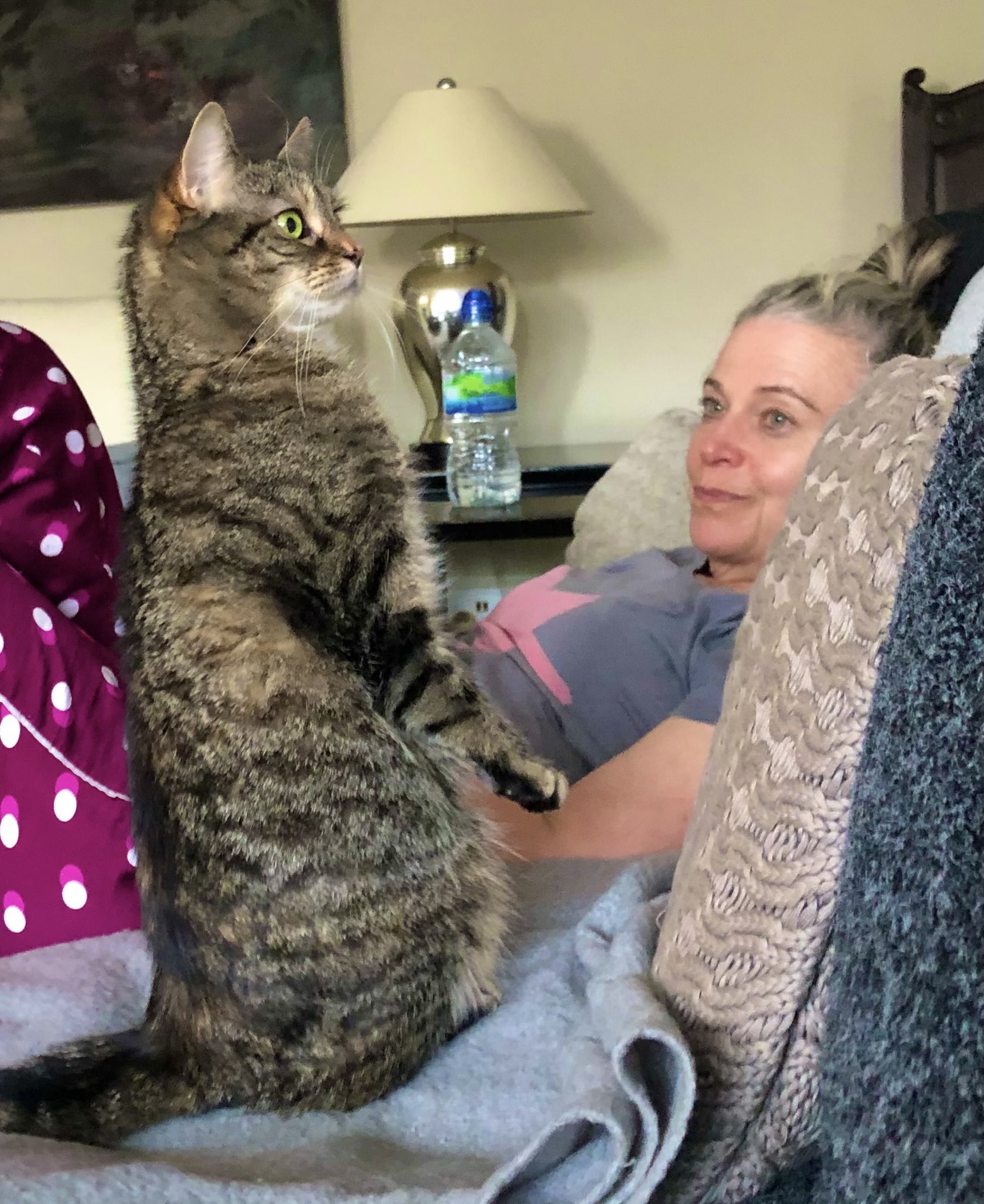 Jane Fallon on Twitter: 