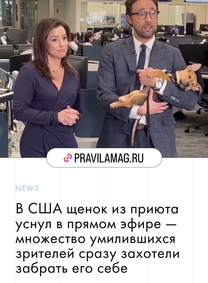 tvoyi_muziki's tweet photo. Хочу читать только такие новости https://t.co/4Hbt7rfEs5