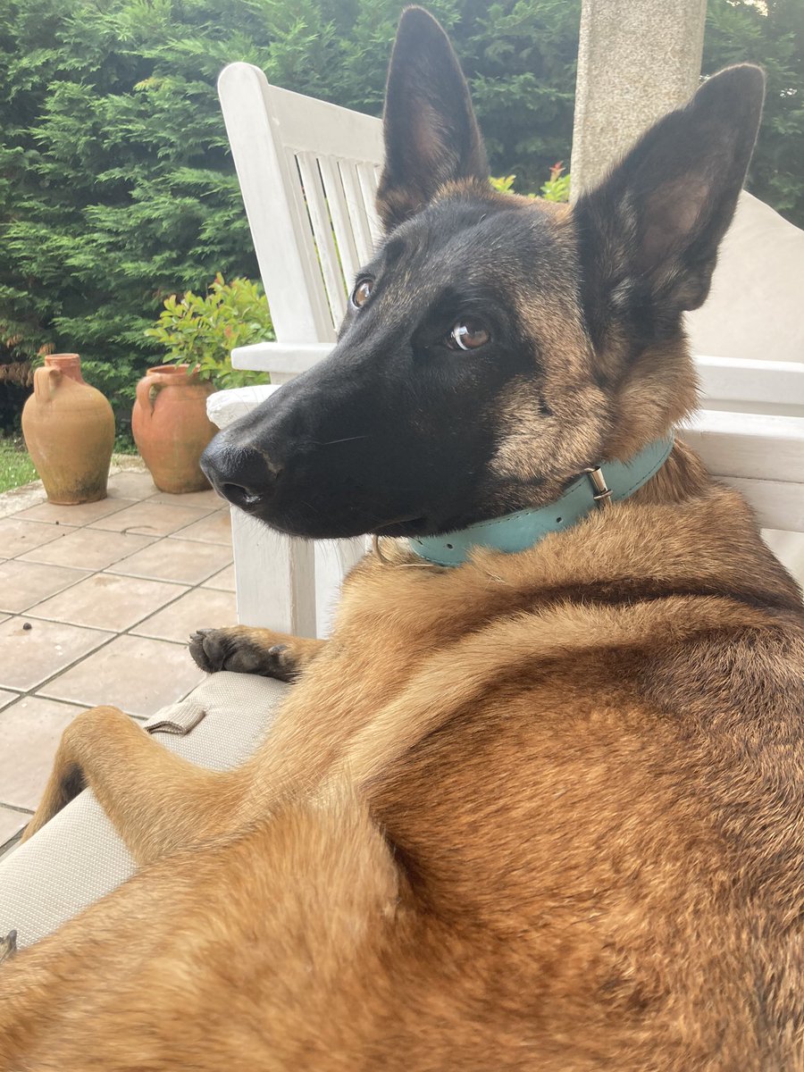 ¿Qué miras?
Nada, va a llover 

#morla #galicia #Huracan